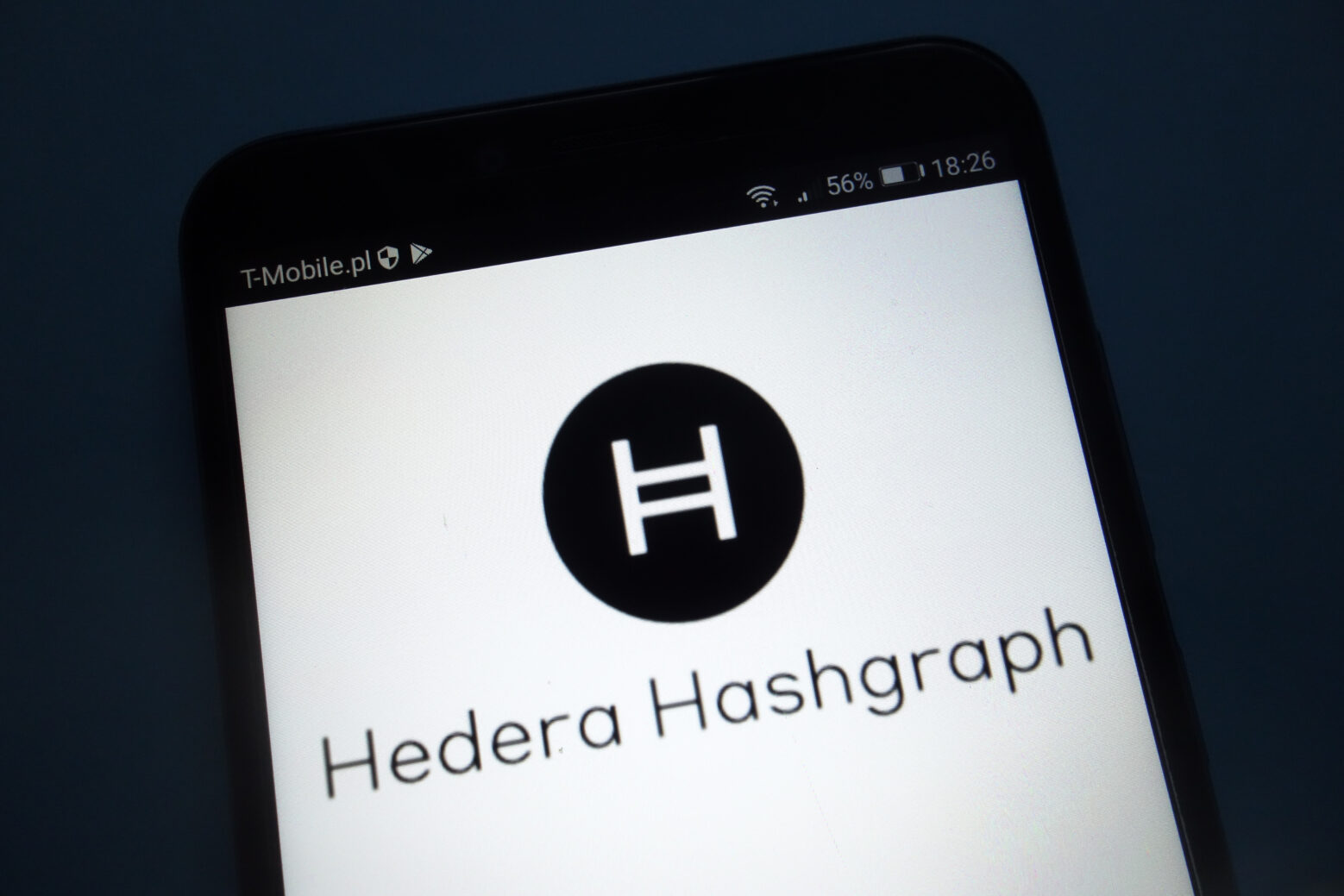 Hedera Hashgraph Use Case