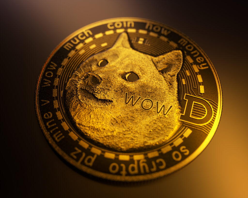 dogecoin used for