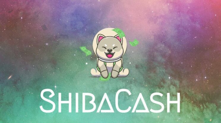 HOW AND WHERE TO BUY SHIBACASH (SHIBACASH) – AN EASY STEP BY STEP GUIDE