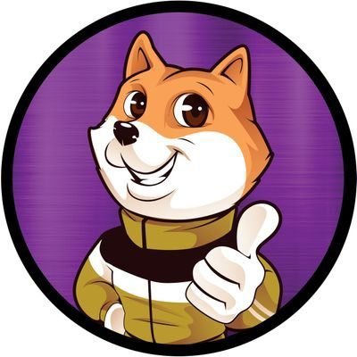 How and Where to Buy Son of Doge V2 – An Easy Step by Step Guide